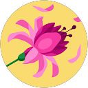 Yasir G. profile picture